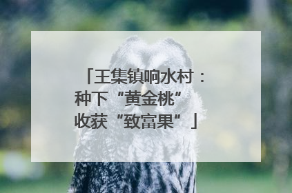 王集镇响水村：种下“黄金桃” 收获“致富果”