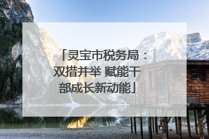 灵宝市税务局：双措并举 赋能干部成长新动能