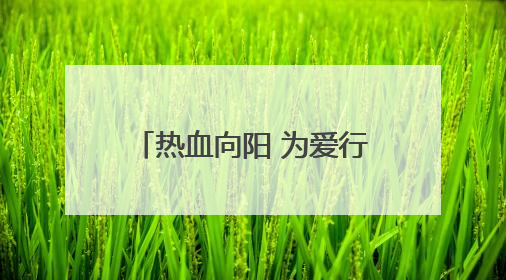 热血向阳 为爱行动 衡东县组织开展无偿献血活动