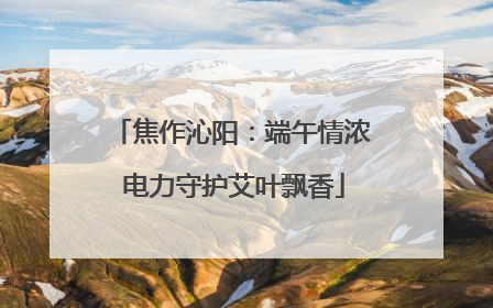 焦作沁阳：端午情浓 电力守护艾叶飘香