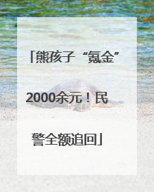 熊孩子“氪金”2000余元！民警全额追回