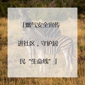 燃气安全宣传进社区，守护居民“生命线”
