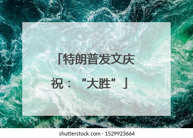 特朗普发文庆祝：“大胜”