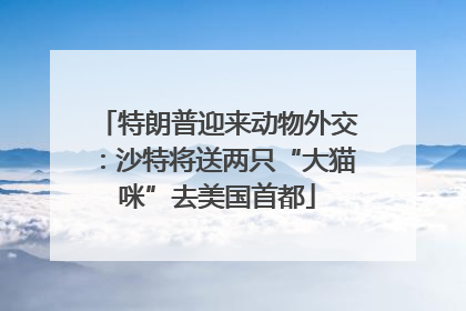 特朗普迎来动物外交：沙特将送两只“大猫咪”去美国首都