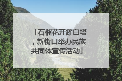 石榴花开耀白塔，新街口举办民族共同体宣传活动