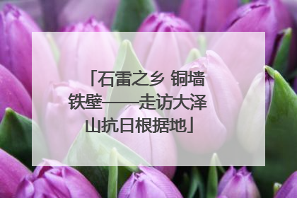 石雷之乡 铜墙铁壁——走访大泽山抗日根据地