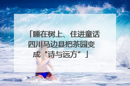 睡在树上、住进童话 四川马边县把茶园变成“诗与远方”