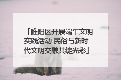 睢阳区开展端午文明实践活动 民俗与新时代文明交融共绽光彩