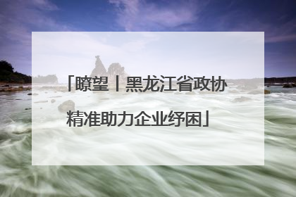 瞭望丨黑龙江省政协精准助力企业纾困