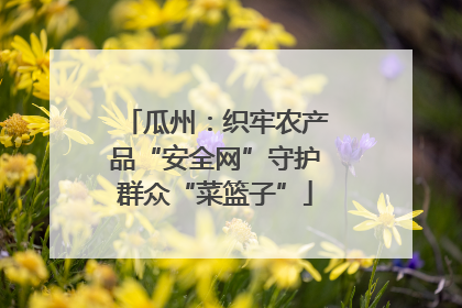 瓜州：织牢农产品“安全网”守护群众“菜篮子”