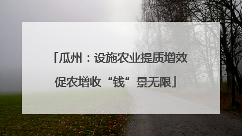 瓜州：设施农业提质增效 促农增收“钱”景无限