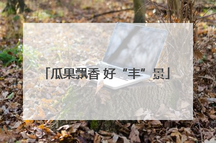 瓜果飘香 好“丰”景