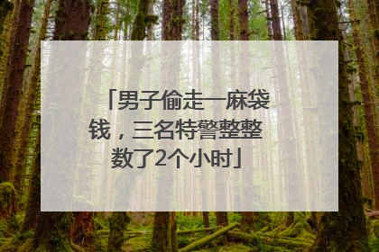 男子偷走一麻袋钱，三名特警整整数了2个小时