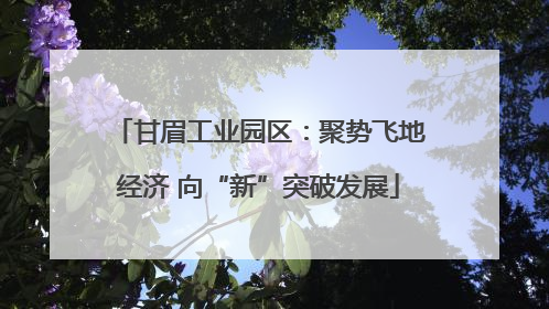甘眉工业园区：聚势飞地经济 向“新”突破发展