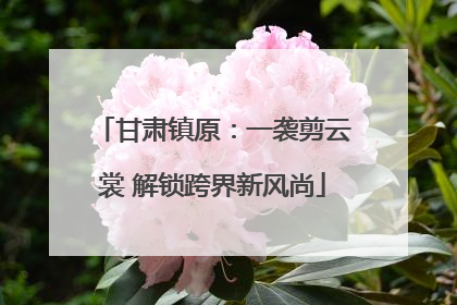 甘肃镇原：一袭剪云裳 解锁跨界新风尚