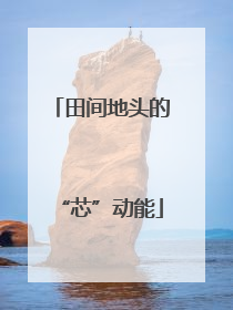 田间地头的“芯”动能