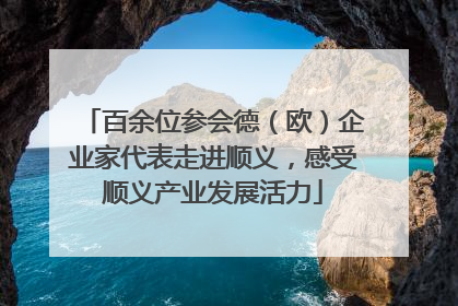 百余位参会德（欧）企业家代表走进顺义，感受顺义产业发展活力