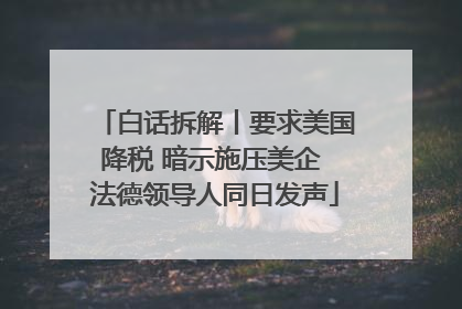 白话拆解丨要求美国降税 暗示施压美企 法德领导人同日发声