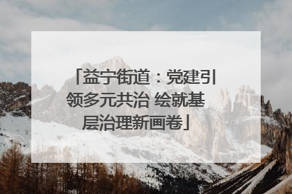 益宁街道：党建引领多元共治 绘就基层治理新画卷