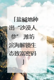 盐碱地种出“沙漠人参” 潍坊滨海解锁生态致富密码