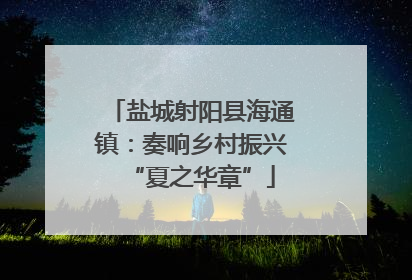 盐城射阳县海通镇：奏响乡村振兴“夏之华章”
