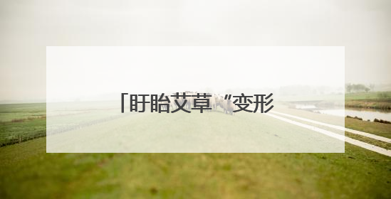 盱眙艾草“变形记”：从荒坡野草到“金枝玉叶”