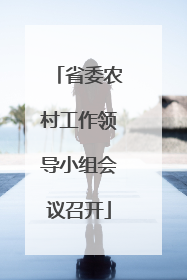 省委农村工作领导小组会议召开