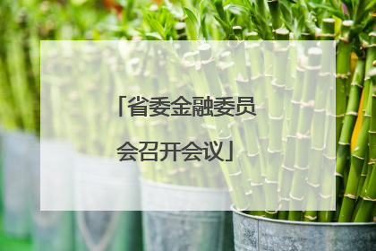 省委金融委员会召开会议