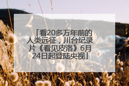 看20多万年前的人类远征，川台纪录片《看见皮洛》6月24日起登陆央视