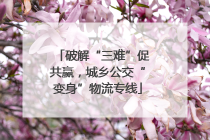 破解“三难”促共赢，城乡公交“变身”物流专线
