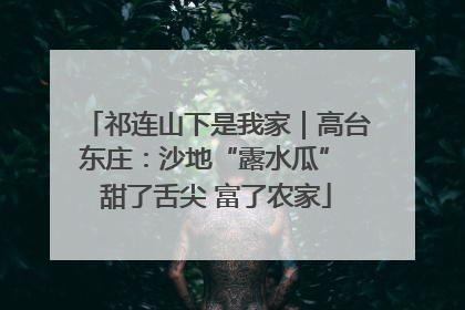 祁连山下是我家｜高台东庄：沙地“露水瓜” 甜了舌尖 富了农家