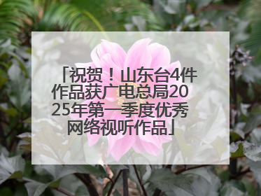 祝贺！山东台4件作品获广电总局2025年第一季度优秀网络视听作品