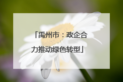 禹州市：政企合力推动绿色转型