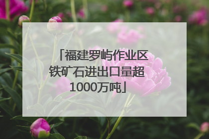 福建罗屿作业区铁矿石进出口量超1000万吨