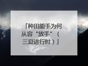 种田能手为何从容“放手”（三夏进行时）