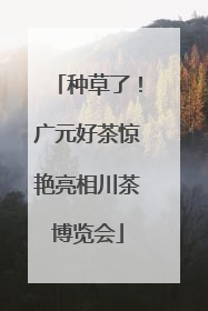 种草了！广元好茶惊艳亮相川茶博览会