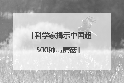 科学家揭示中国超500种毒蘑菇