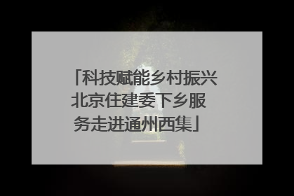 科技赋能乡村振兴 北京住建委下乡服务走进通州西集