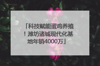 科技赋能蛋鸡养殖！潍坊诸城现代化基地年销4000万