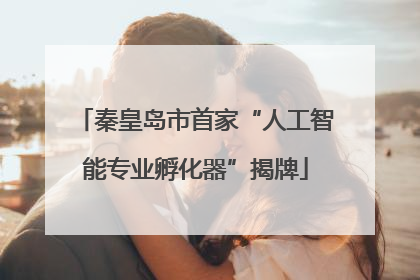 秦皇岛市首家“人工智能专业孵化器”揭牌