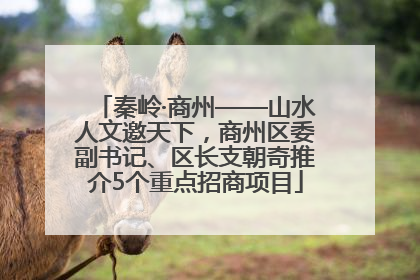 秦岭·商州——山水人文邀天下，商州区委副书记、区长支朝奇推介5个重点招商项目