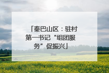 秦巴山区：驻村第一书记“组团服务”促振兴