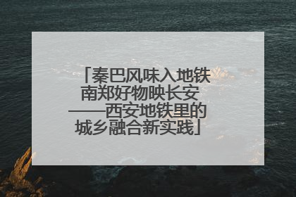 秦巴风味入地铁 南郑好物映长安——西安地铁里的城乡融合新实践