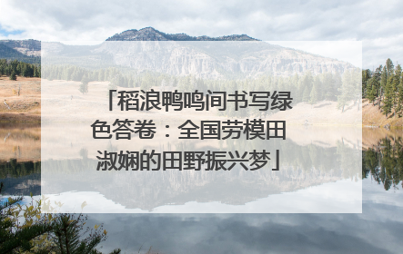 稻浪鸭鸣间书写绿色答卷：全国劳模田淑娴的田野振兴梦