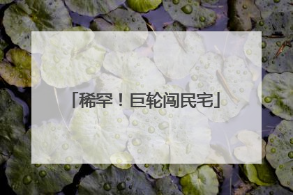 稀罕！巨轮闯民宅