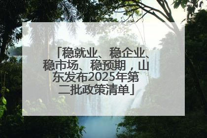 稳就业、稳企业、稳市场、稳预期，山东发布2025年第二批政策清单