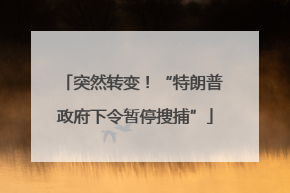 突然转变！“特朗普政府下令暂停搜捕”