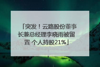 突发！云路股份董事长兼总经理李晓雨被留置 个人持股21%