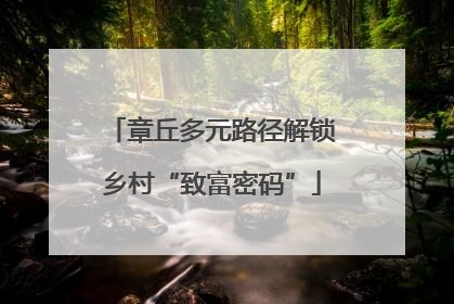 章丘多元路径解锁乡村“致富密码”