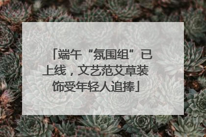端午“氛围组”已上线，文艺范艾草装饰受年轻人追捧